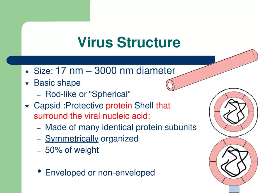 Virology An Introduction - Page 12