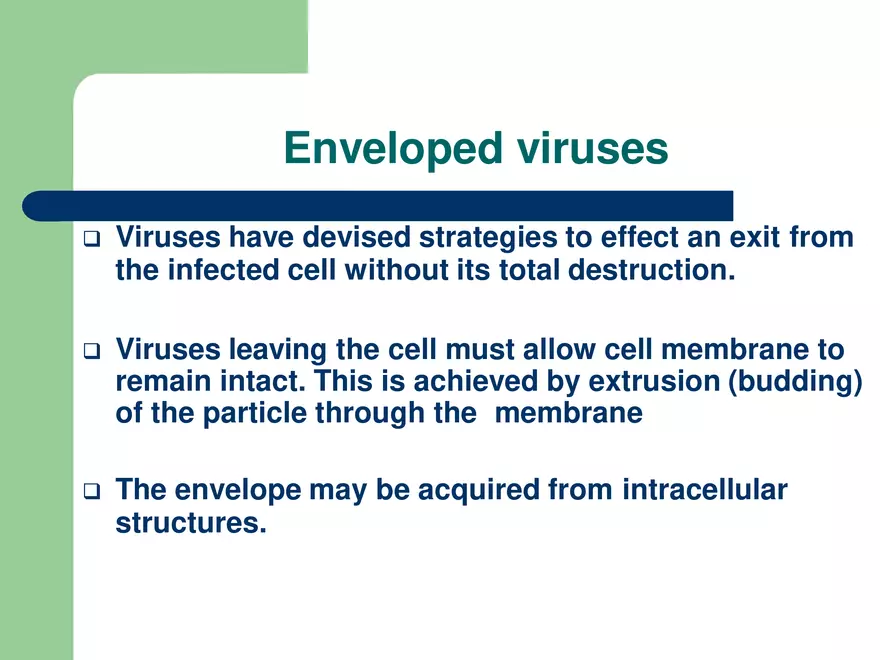 Virology An Introduction - Page 37