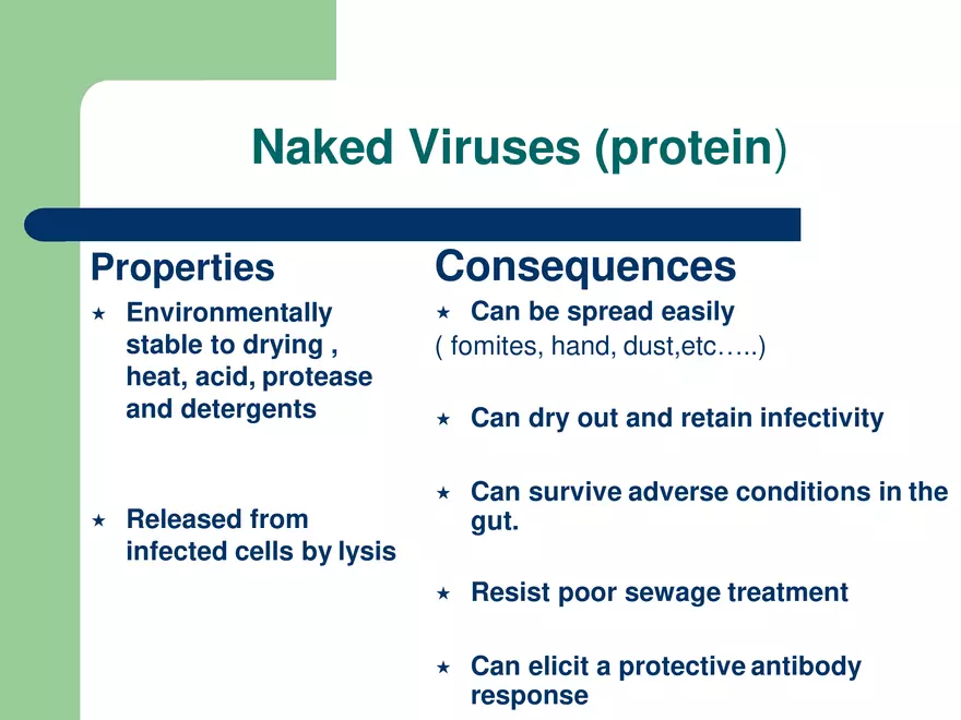 Virology An Introduction - Page 40