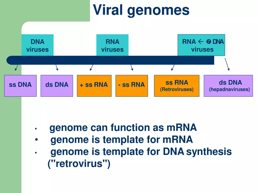 Virology An Introduction - Page 48