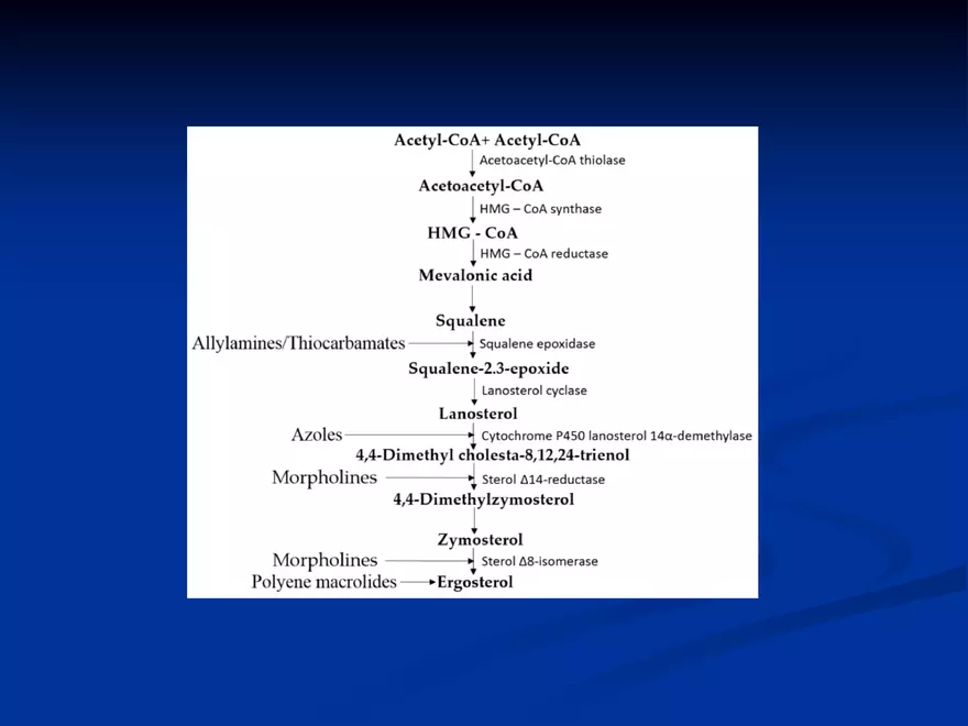 Antifungal Agents - 1 - Page 11