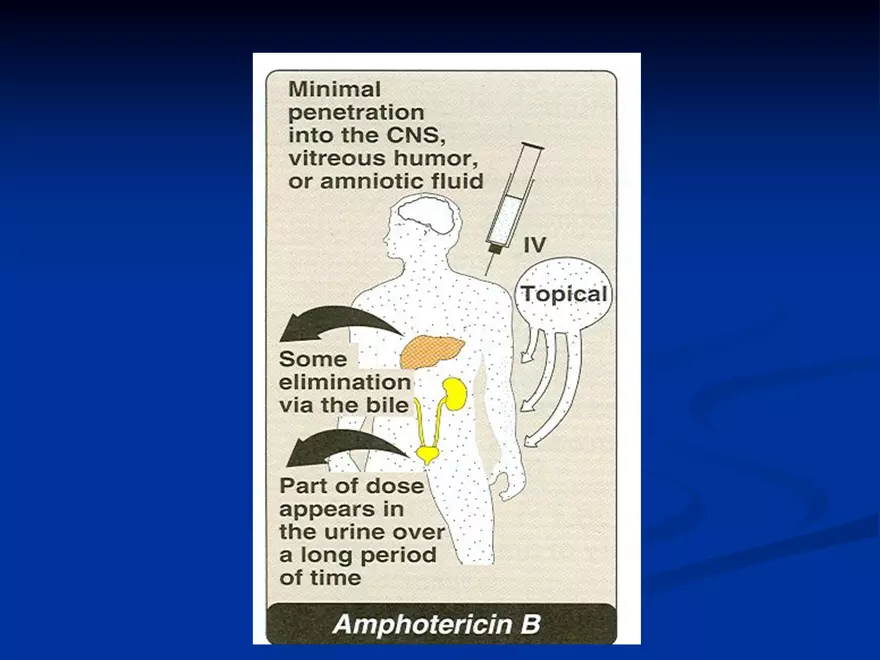Antifungal Agents - 1 - Page 19