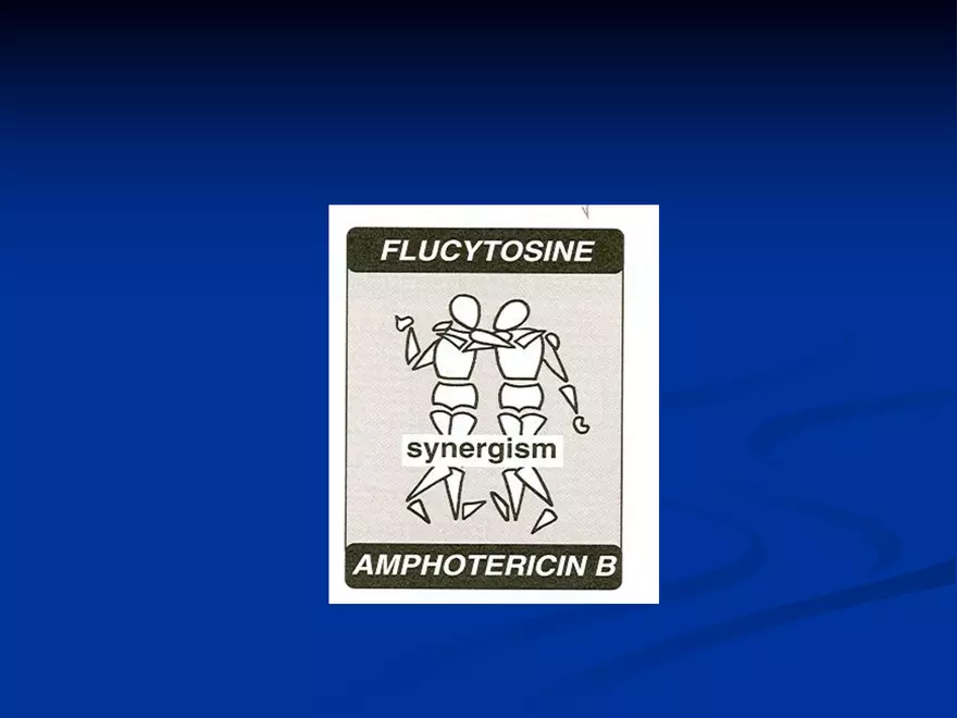 Antifungal Agents - 1 - Page 28