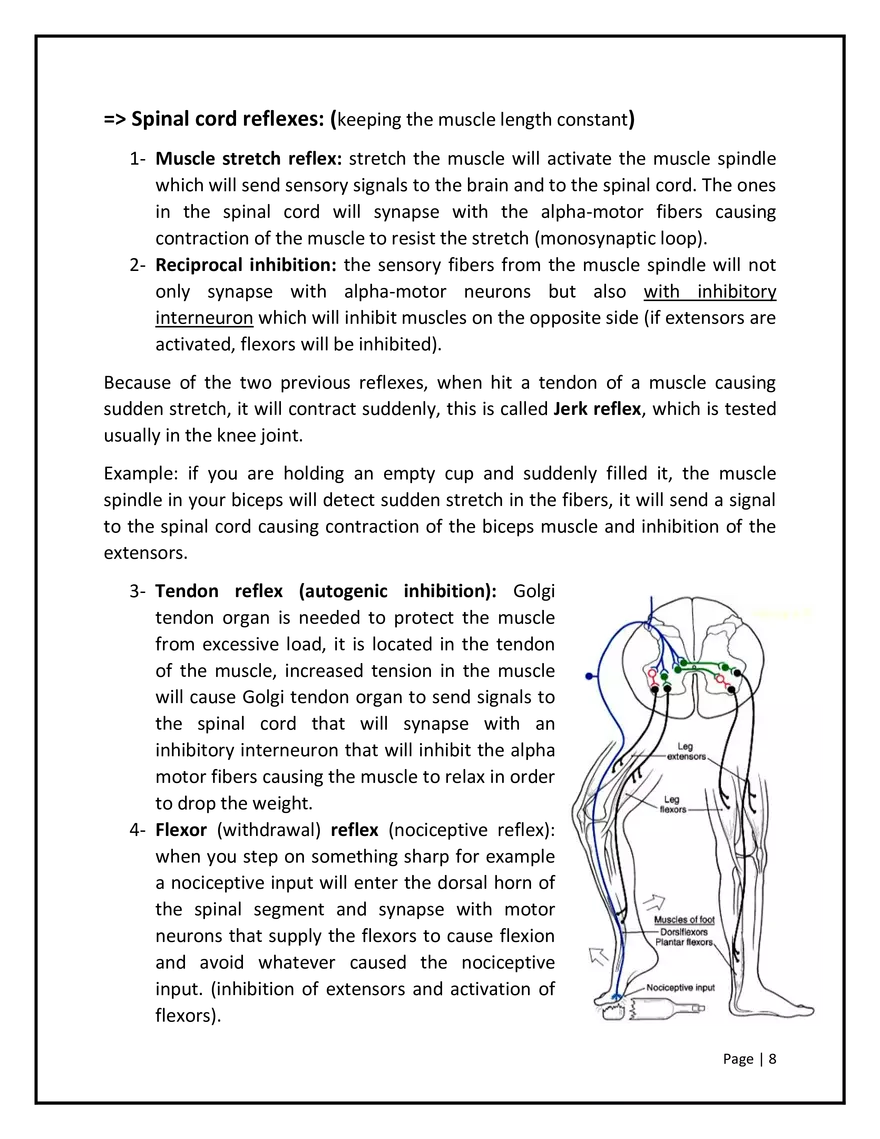 Somatosensory Pathways - Page 9