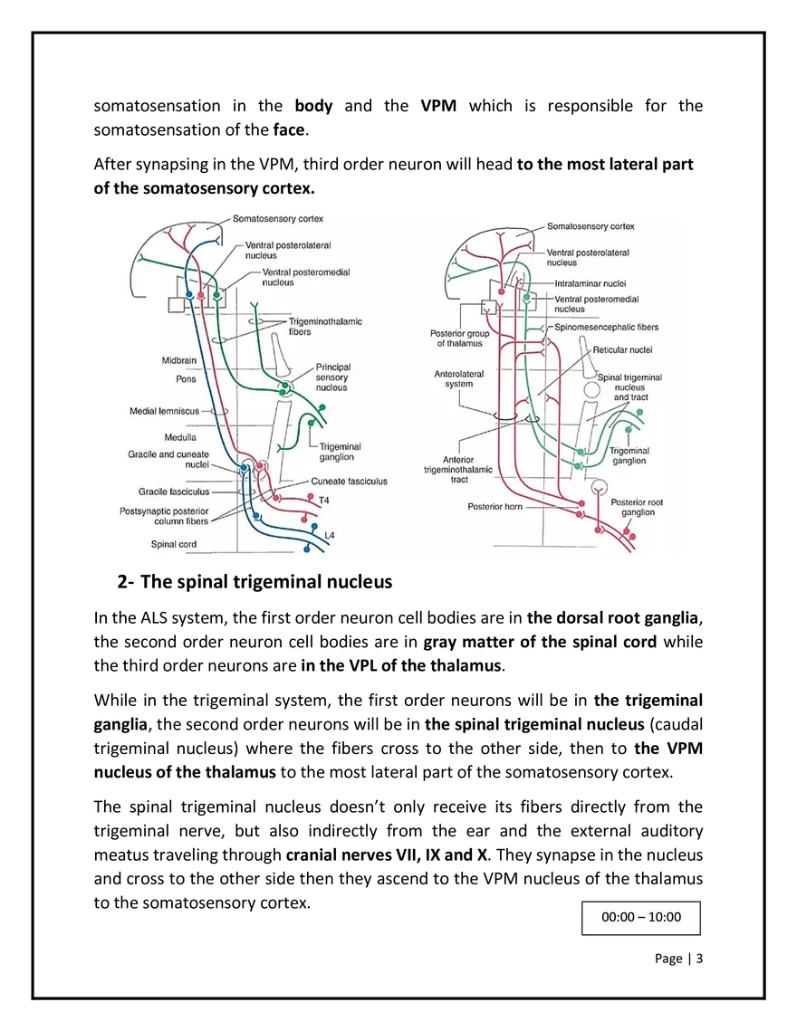 Somatosensory Pathways - Page 4