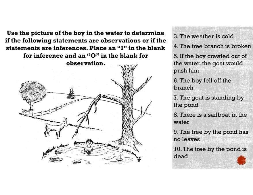 Observation vs. Inference - Page 3