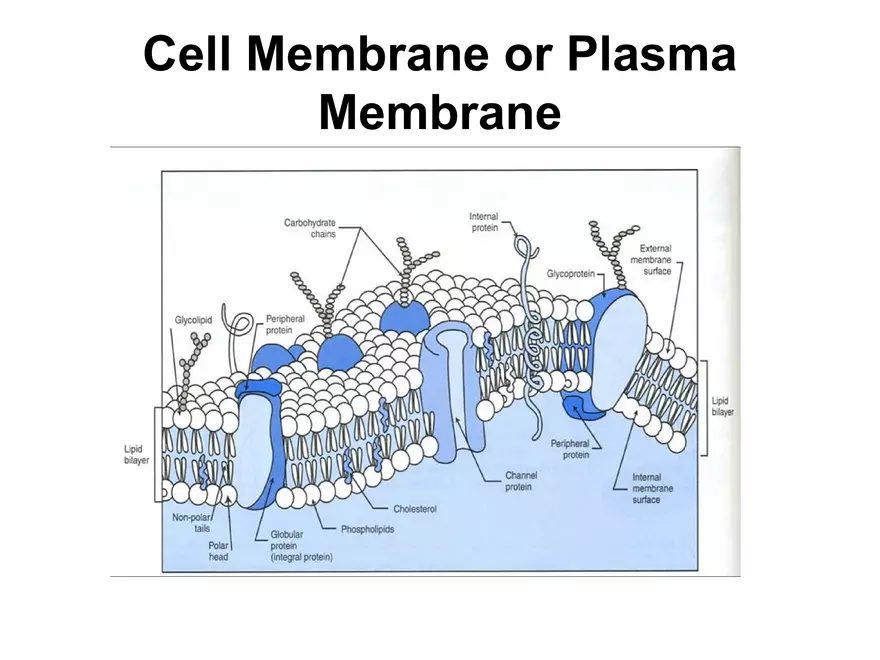 Setting our Cytes Ahead Pt 3 - Page 10