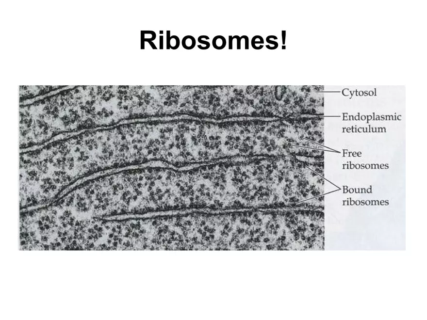 Setting our Cytes Ahead Pt 3 - Page 12