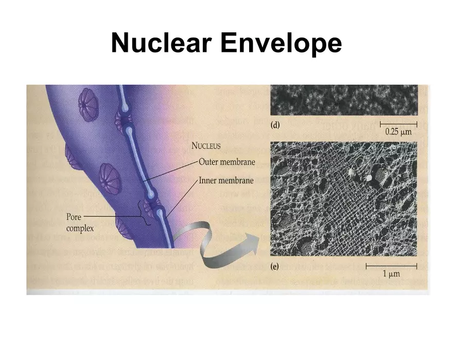 Setting our Cytes Ahead Pt 3 - Page 14