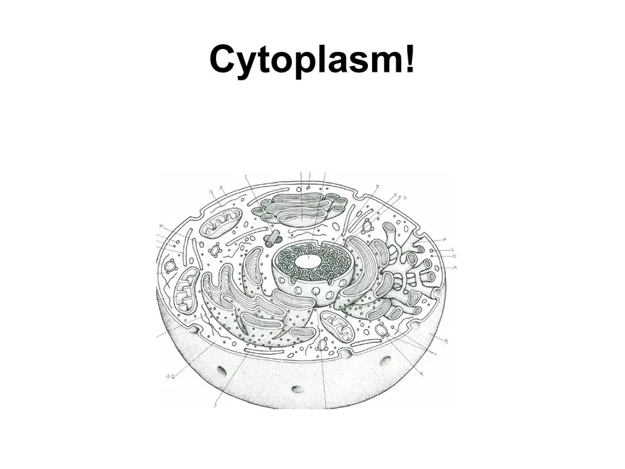 Setting our Cytes Ahead Pt 3 - Page 6