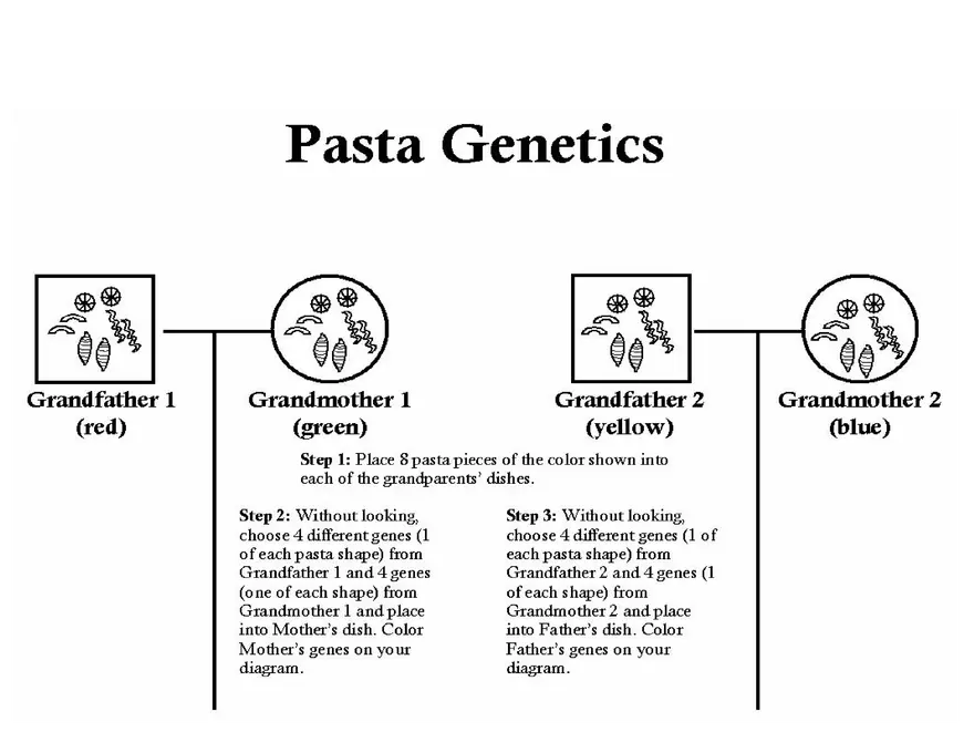 Teaching Basic Concepts of Inheritance - Page 10