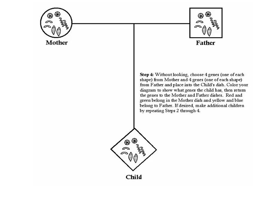 Teaching Basic Concepts of Inheritance - Page 11