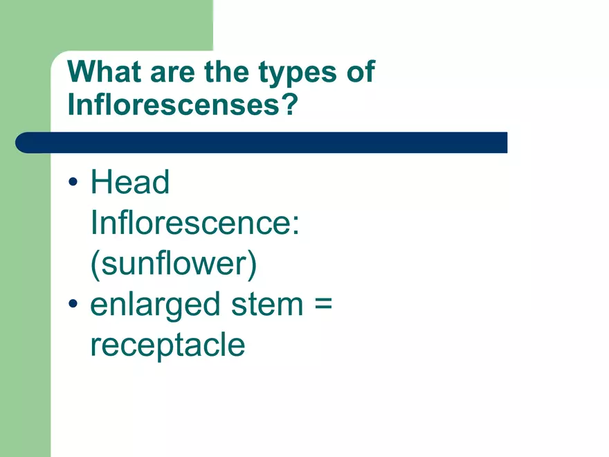 Plant Inflorescences - Page 10