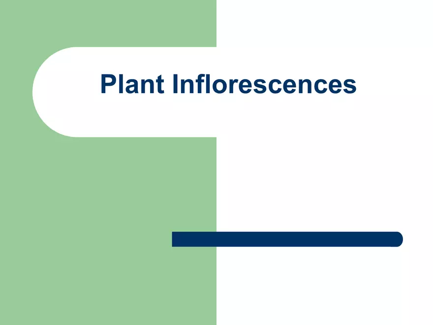 Plant Inflorescences - Page 1