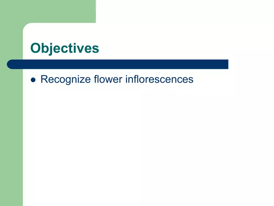 Plant Inflorescences - Page 2