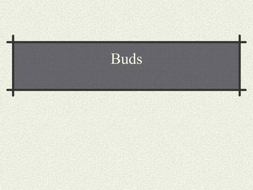 Buds - Page 1
