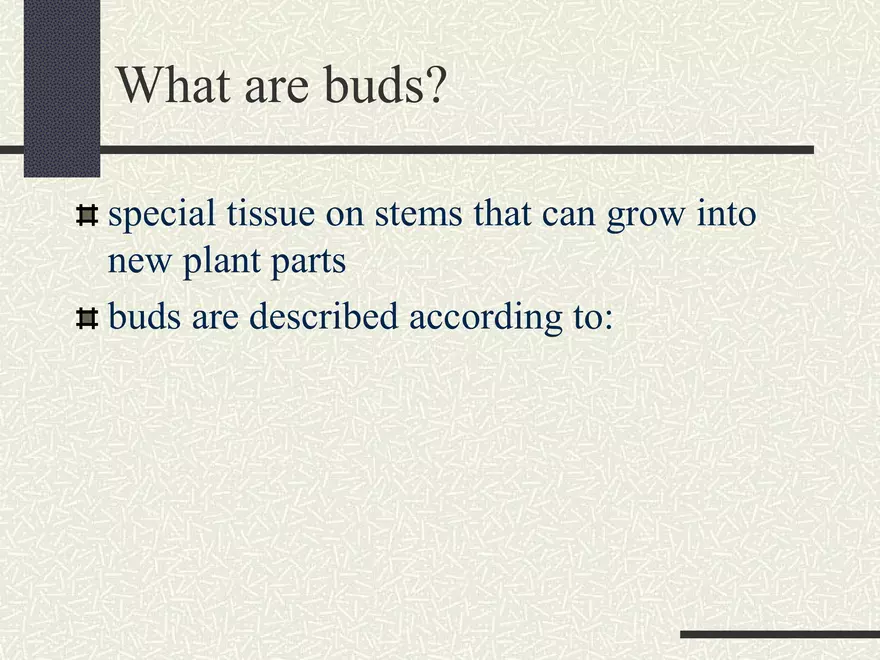 Buds - Page 2