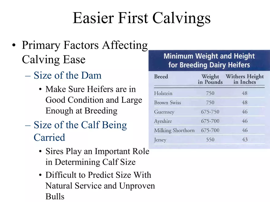 Heifer A.I. - Page 7