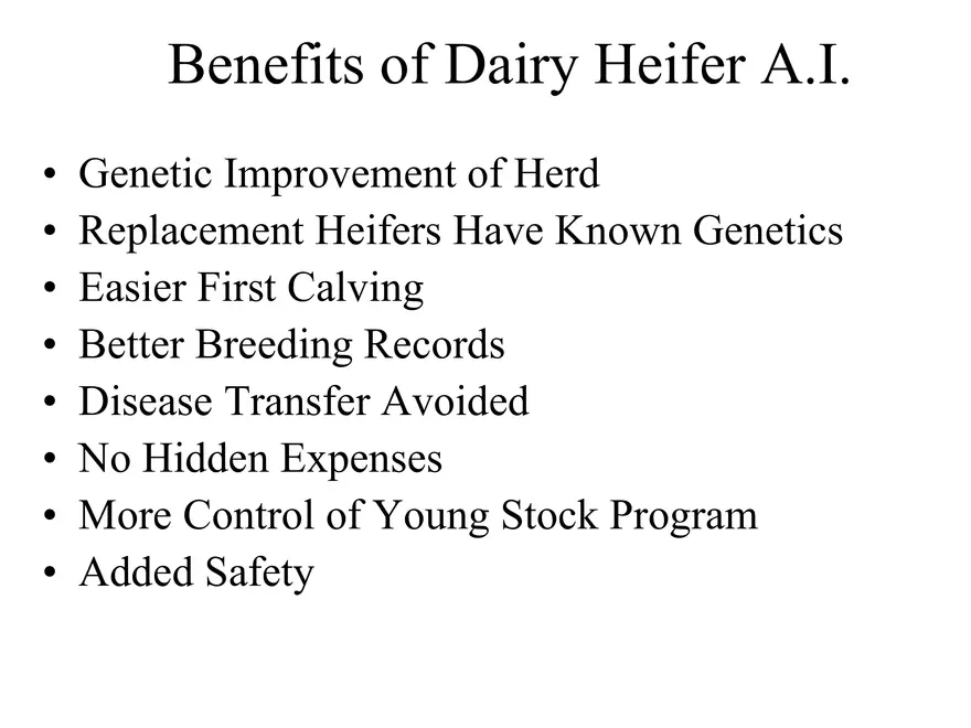 Heifer A.I. - Page 2