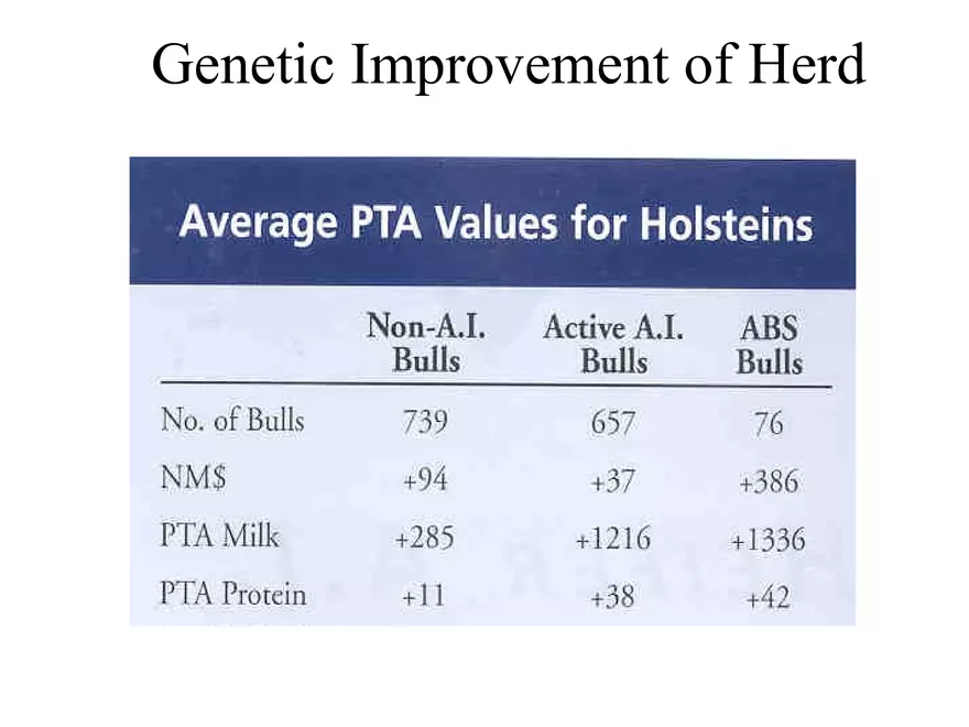 Heifer A.I. - Page 5