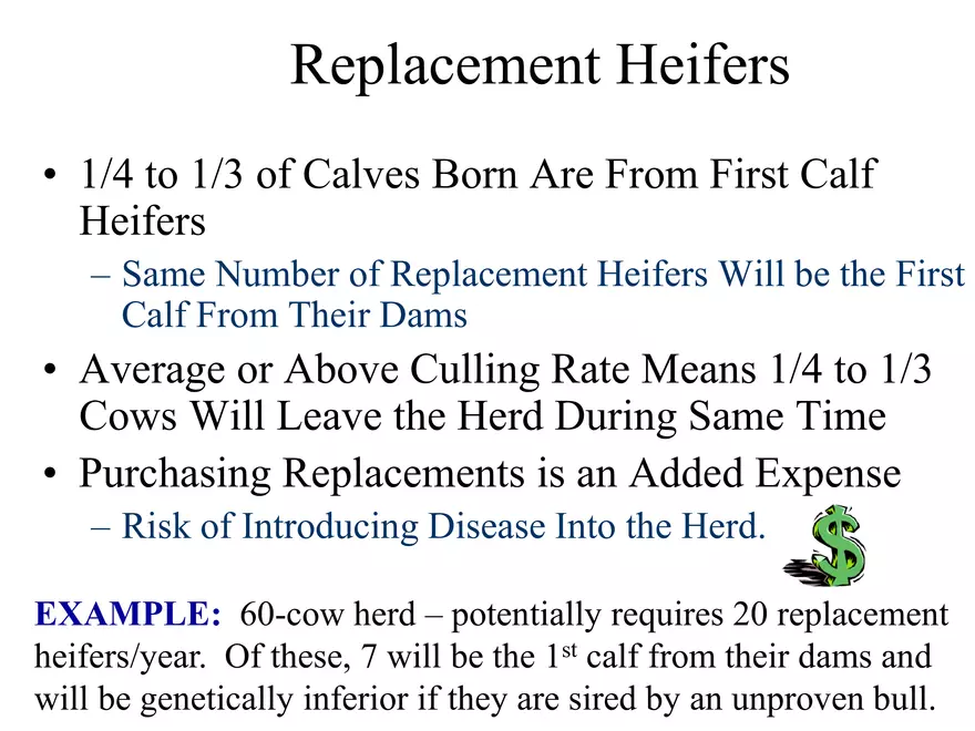 Heifer A.I. - Page 6