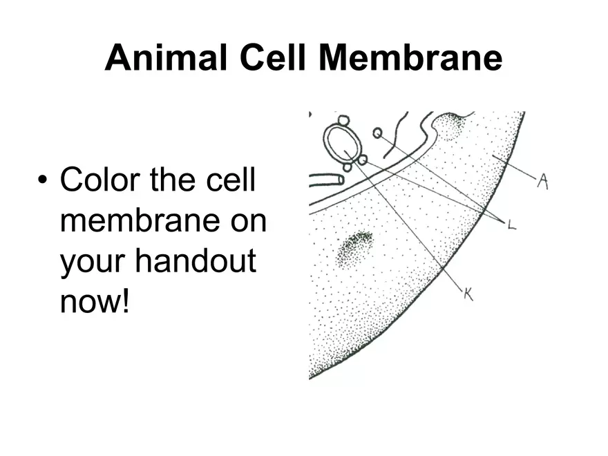 Setting our Cytes Ahead Pt 1 - Page 7