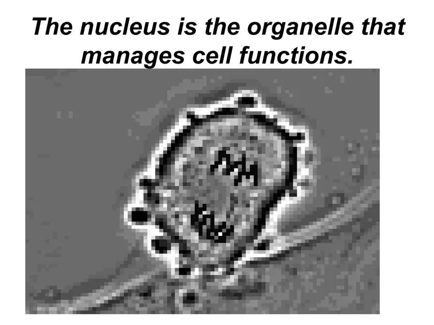 Setting our Cytes Ahead Pt 1 - Page 10