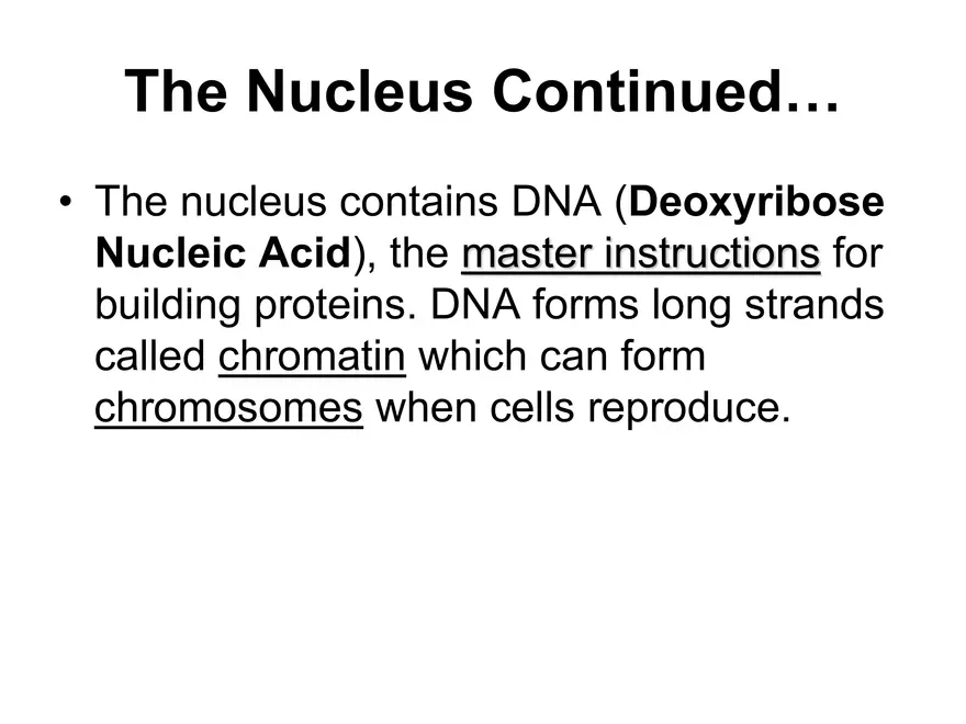 Setting our Cytes Ahead Pt 1 - Page 11