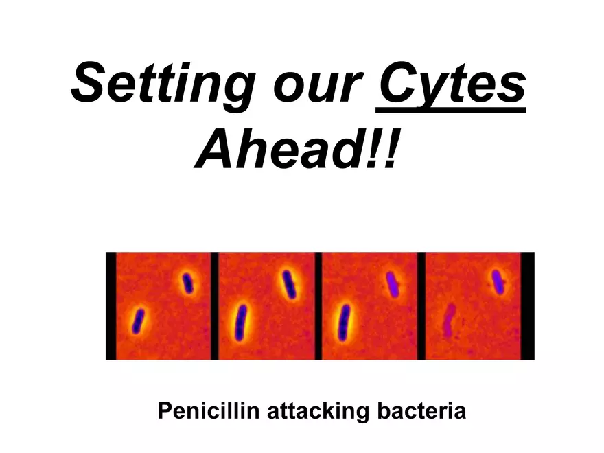 Setting our Cytes Ahead Pt 1 - Page 1