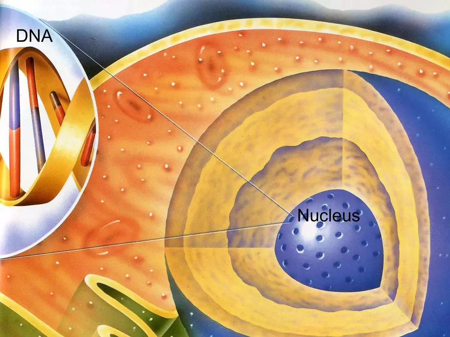 Setting our Cytes Ahead Pt 1 - Page 3