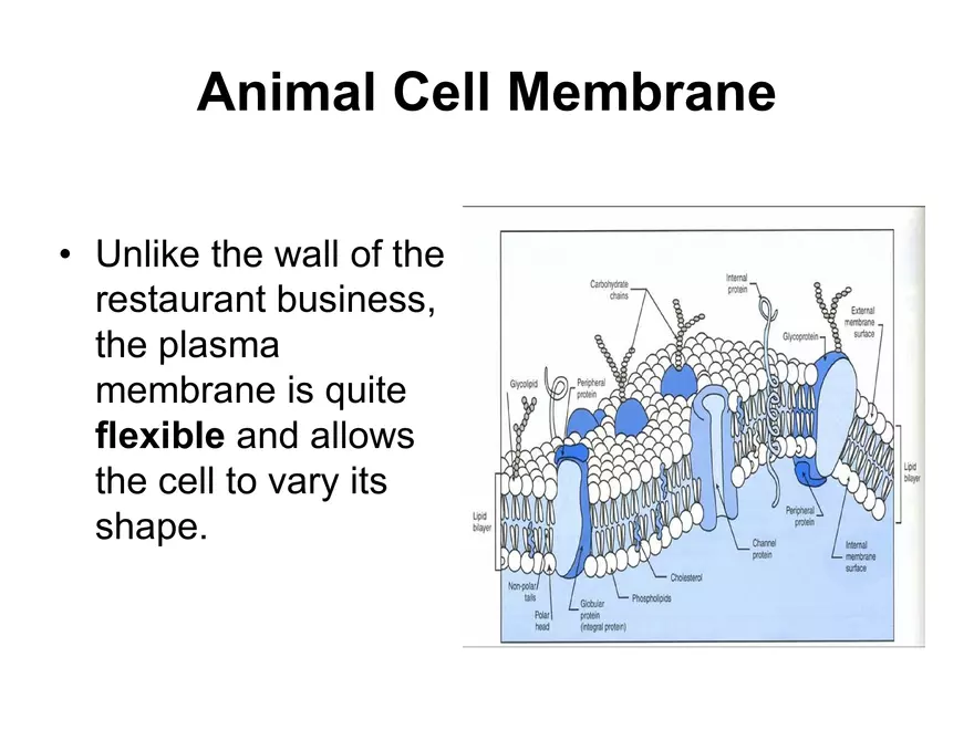 Setting our Cytes Ahead Pt 1 - Page 4