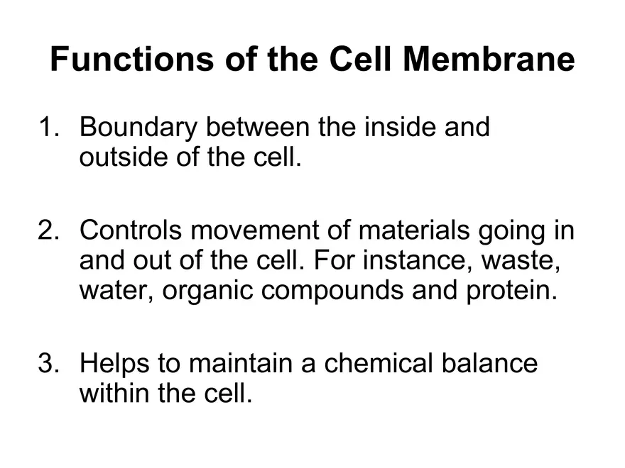 Setting our Cytes Ahead Pt 1 - Page 6