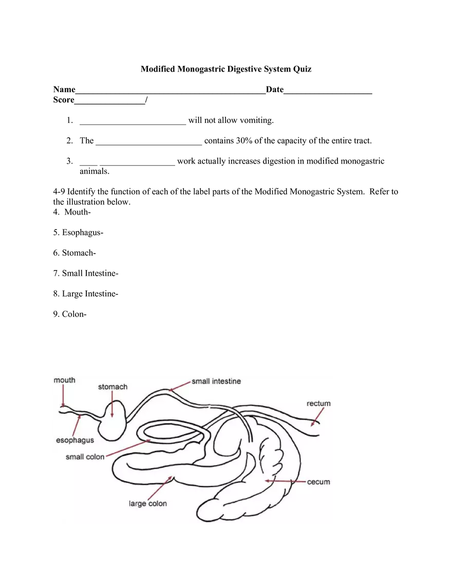Lesson 8 - Digestive System of the Horse - Page 5