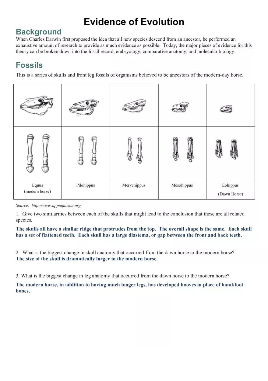 Evidence of Evolution Answer Key - Page 1