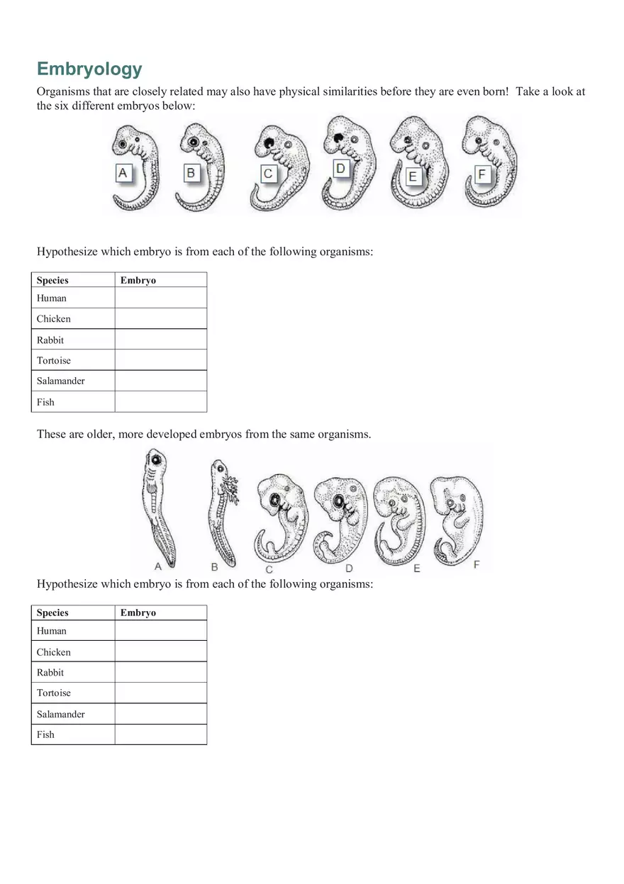 Evidence of Evolution Answer Key - Page 2