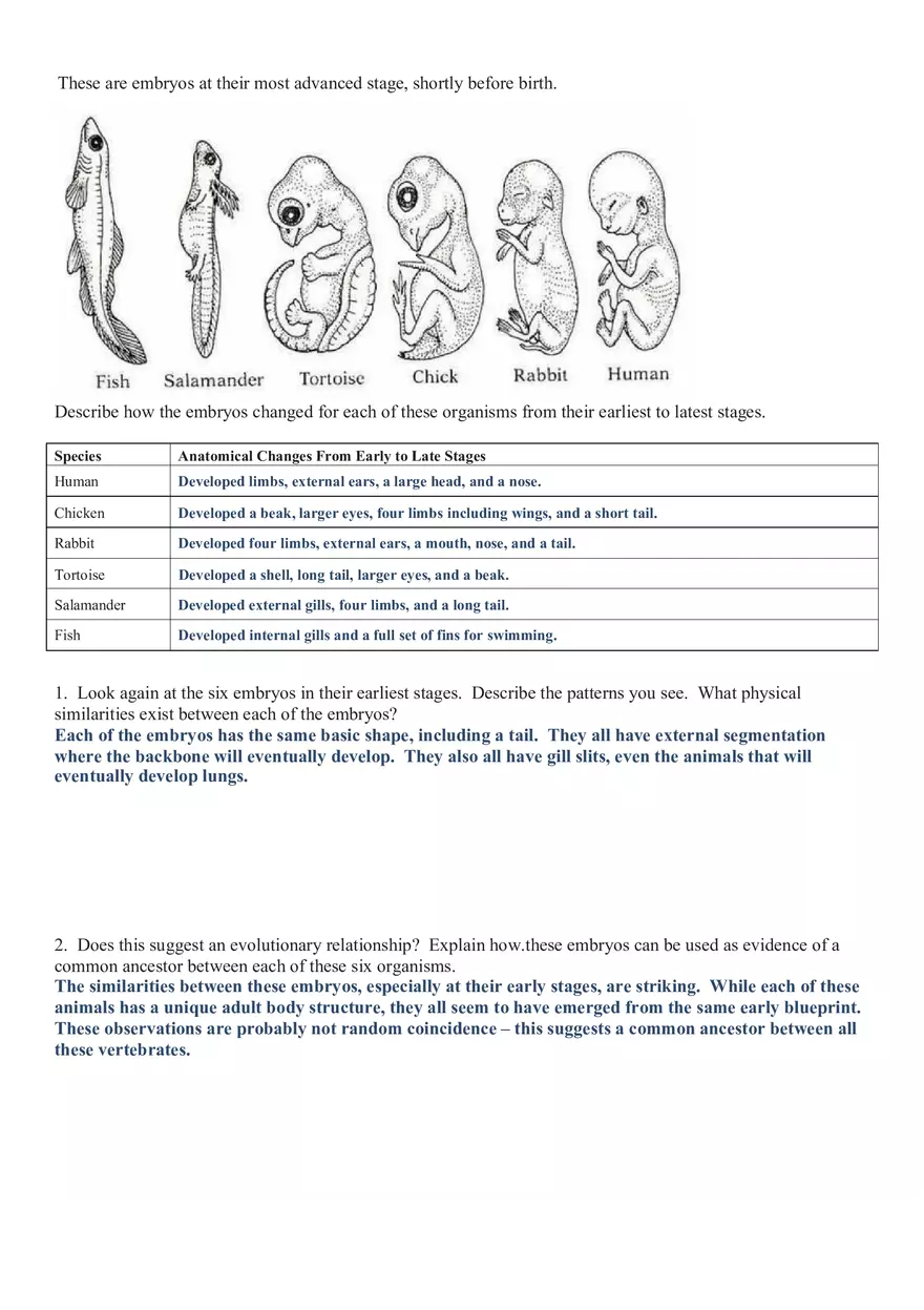 Evidence of Evolution Answer Key - Page 3