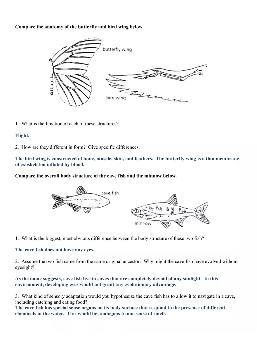 Evidence of Evolution Answer Key - Page 6