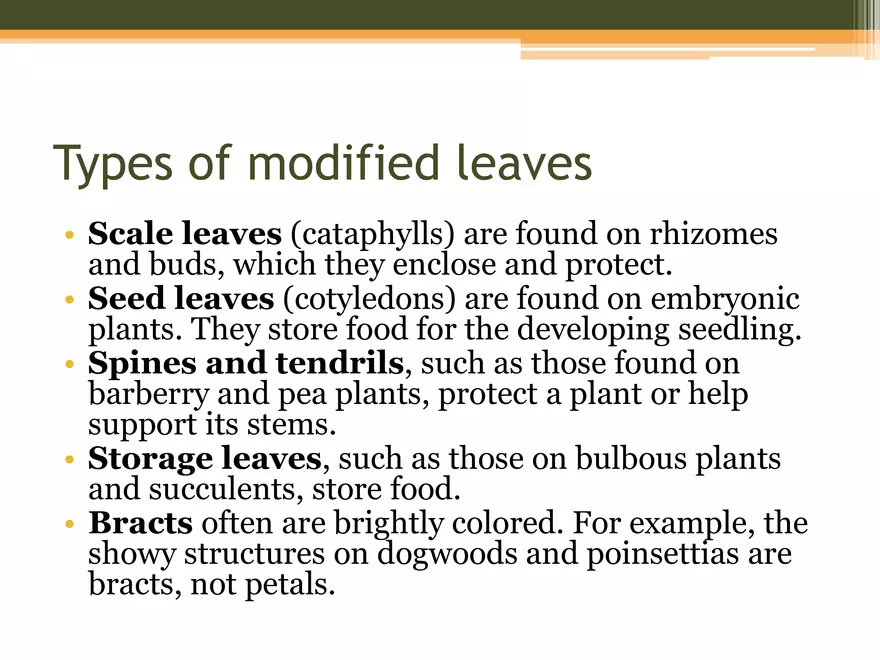 Leaf Botany and Plant Cell Biology Part 1 - Page 10