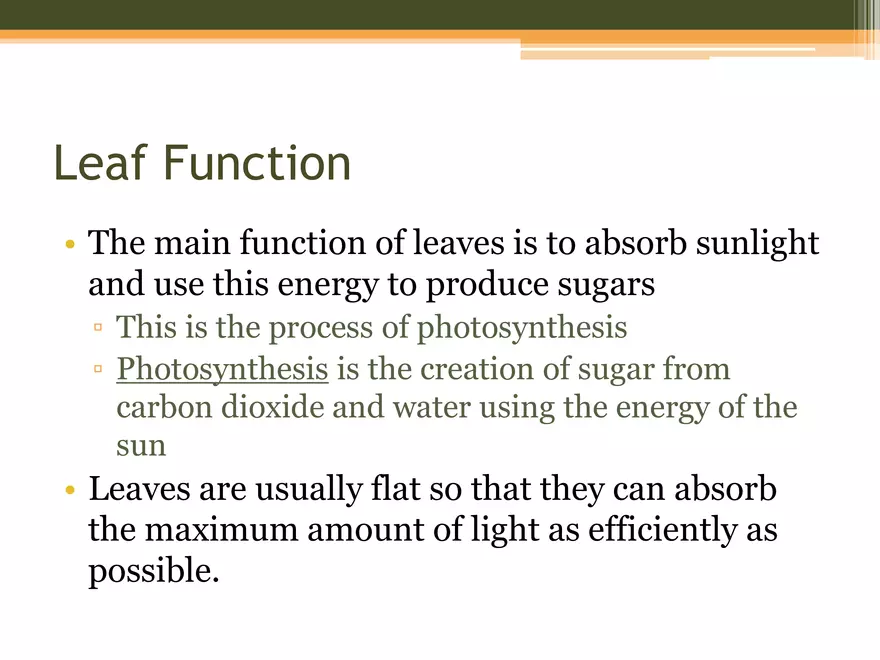 Leaf Botany and Plant Cell Biology Part 1 - Page 2