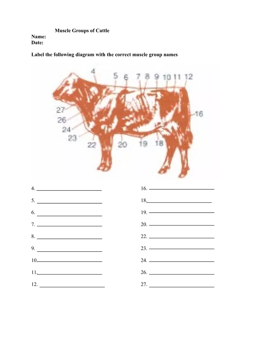 Lesson 4 - The Muscular System - Page 8