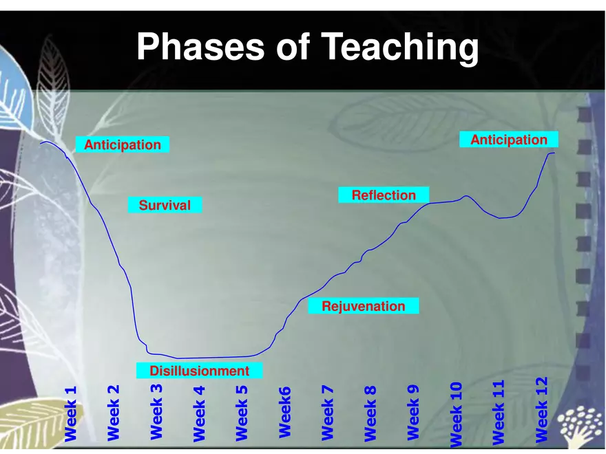 Student Teacher Development - Page 16