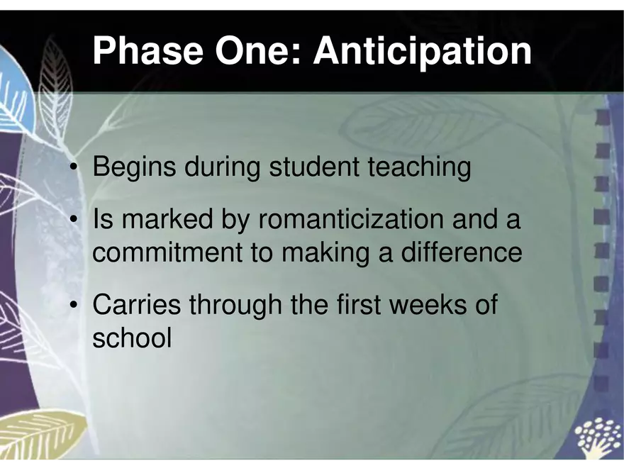 Student Teacher Development - Page 17