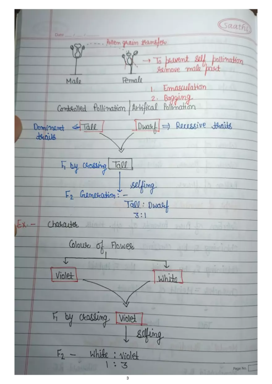Heredity and Evolution - Page 13