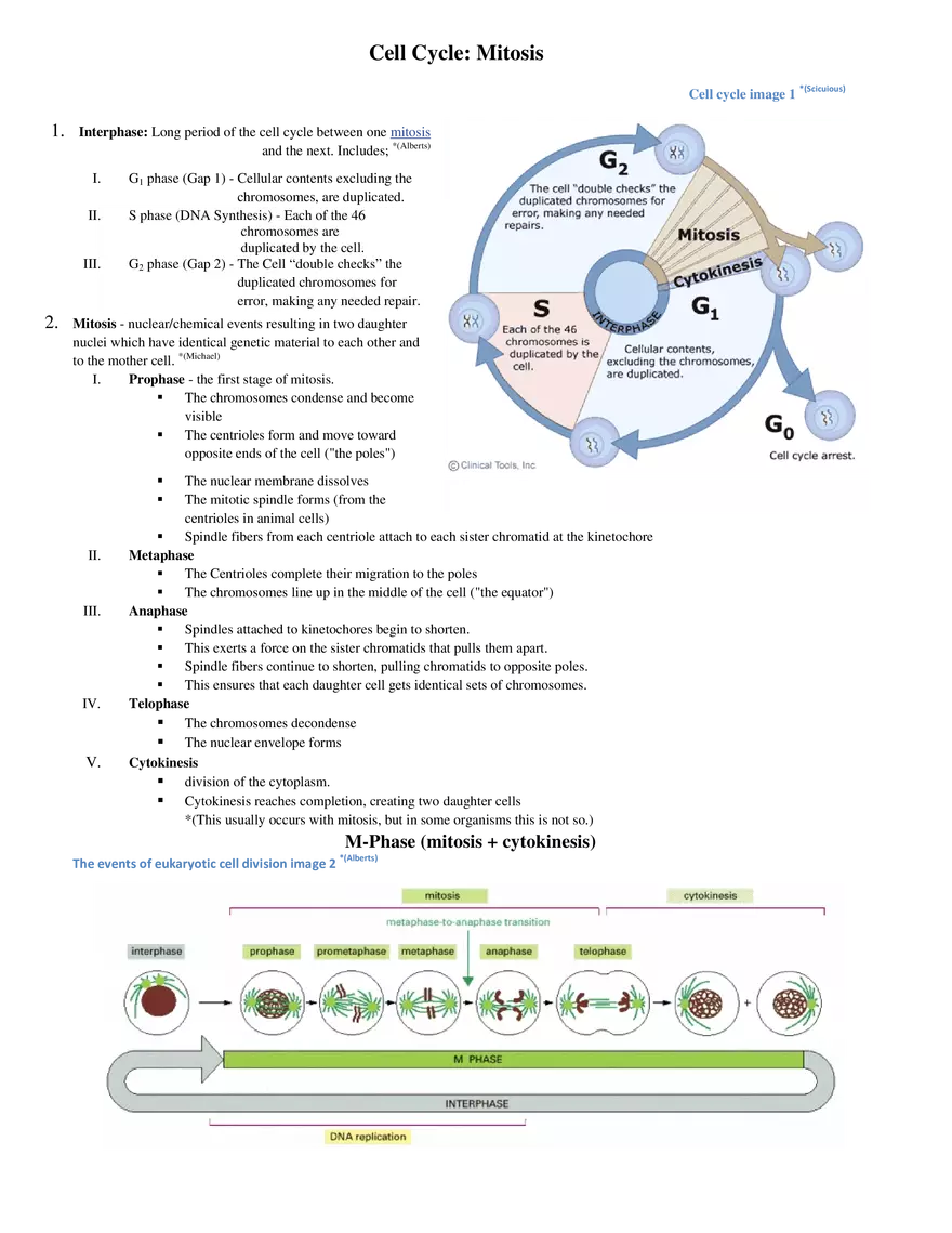 Cell Cycle: Mitosis - Page 1