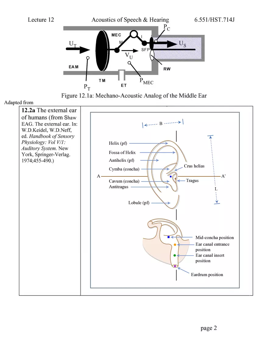 Middle Ear Structure-Function & Pathology - Page 2