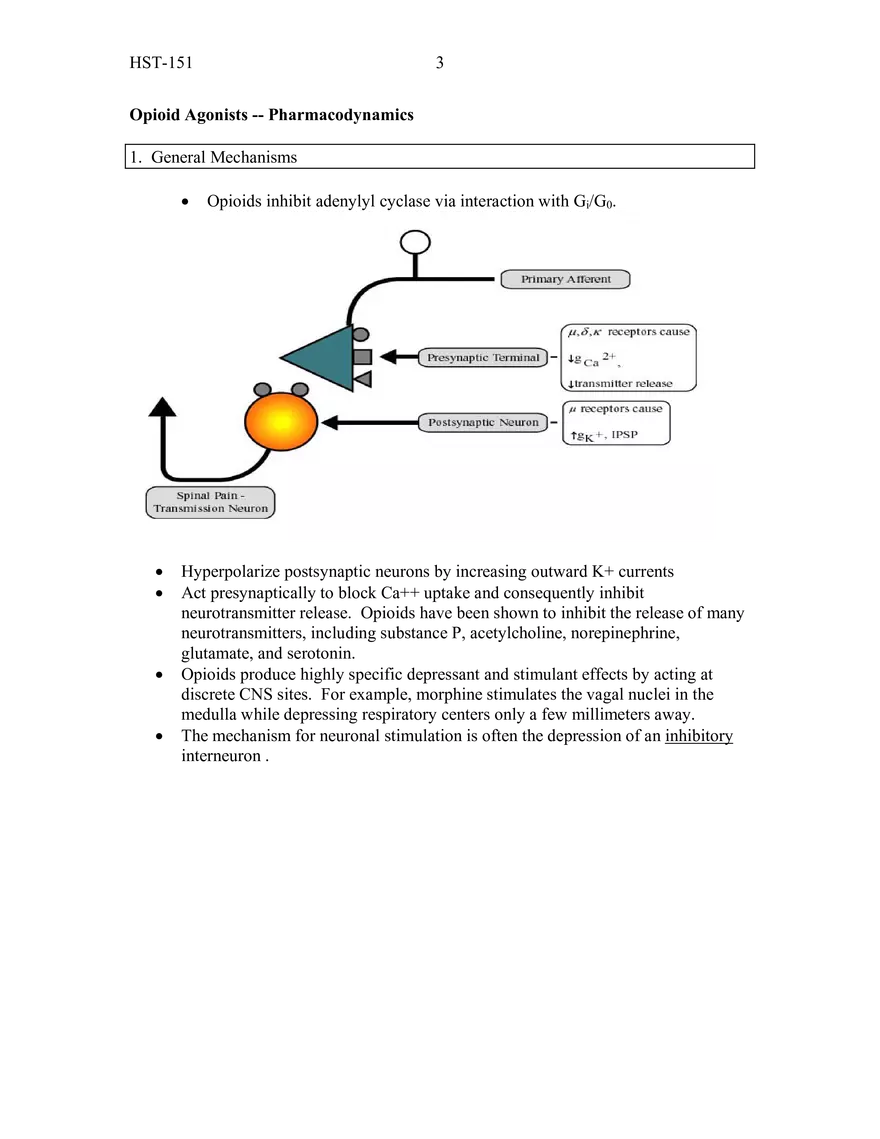 Opioid Pharmacology - Page 6