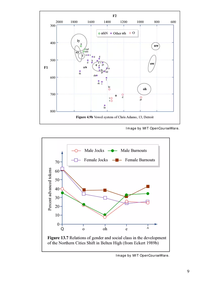 Sociolinguistic Variables - Page 8