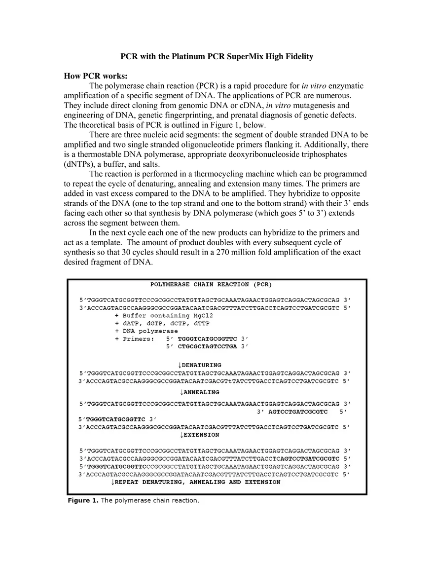 PCR with the Platinum PCR SuperMix High Fidelity - Page 1