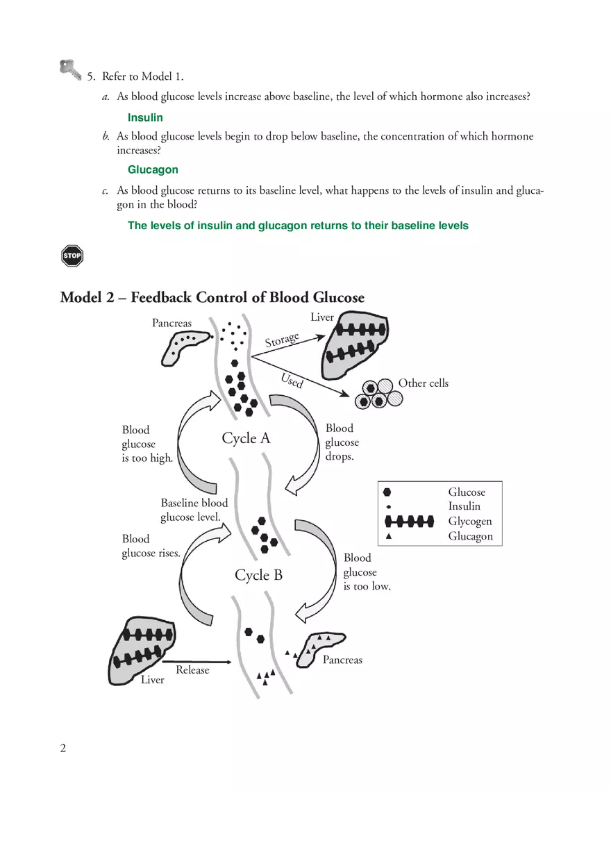 Control of Blood Sugar Levels - Page 2