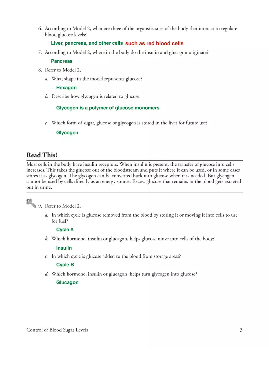 Control of Blood Sugar Levels - Page 3